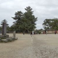 06/18奈良京都への旅-5（興福寺、）