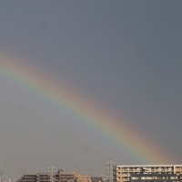 虹＆飛行機雲