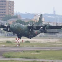 【M-5撮影特報】小牧基地日常風景,40周年の自衛隊ハーキュリーズ(2024-05-23)