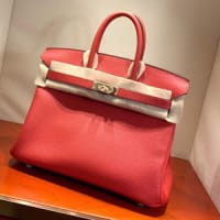 エルメス バーキン25 ゼラニウム トゴ ゴールド金具