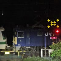 １９日は複数の国鉄型車両を撮影
