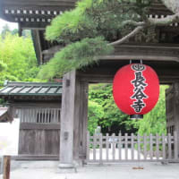 初夏の鎌倉案内（１）「長谷」のアジサイ