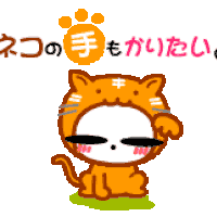 どしゃぶりの雨の中 Neko です