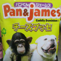 土砂降りですが。。。