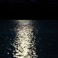 moon light