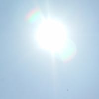 過去に「下書き」として記録した記事。　「 今日の画像。」