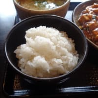 中華ファミリーレストラン五味八珍・東新田店