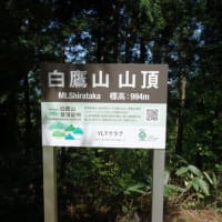 白鷹山　山歩　2024.5.5