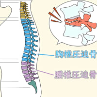吾妻さくら病院  放射線課