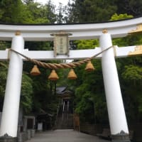 宝登山神社❤️