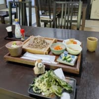 檜原村のお蕎麦が食べられるようになりました…