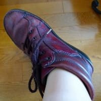 １０年履いた ストロバー の靴 ちあの散歩道
