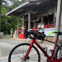 梅雨が明けた。