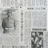 「あゝ岸壁の母」③生きていた息子