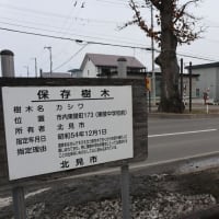 鉄込み散歩　- 端野、東陵公園など -