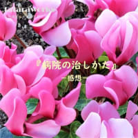 「『病院の治しかた』小...」