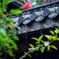 梅雨の季