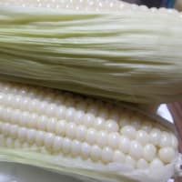 新しいのに懐かしいトウモロコシ