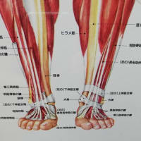同じような場所とケガに見えても、まったく違うことがある。治療の方法も違って当然だ。