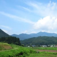 アラーム前の目覚め...