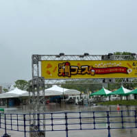 ゲートパーク広島で鶏フェスが開催されます・・・ゴールデンウィークは鳥料理とビールで楽しみたいですね