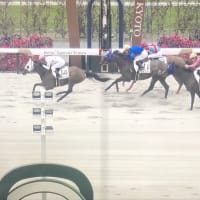 愛馬オリジナルファイン悔しい4着