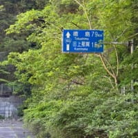 時間に取り残された国道193号「木沢トンネル」の外側の風景〔徳島県那珂町〕