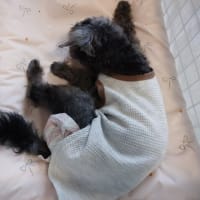 お医者さん通いで忙しいもん！