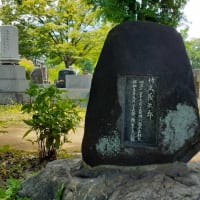 梅雨の晴れ間の雑司ヶ谷霊園
