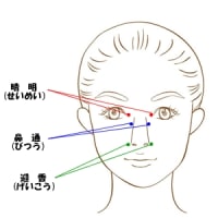 全然まめじゃないからブログ続かない。