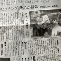 日本ハム　ヤクルトに勝つ