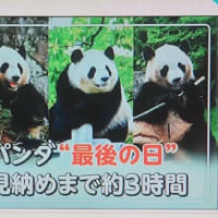 九州北部・近畿に史上最も早い「梅雨明け」