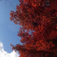 「五寒」　生じて国家無し　　　　　