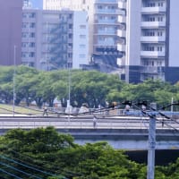 今日いち-2025年6月7日
