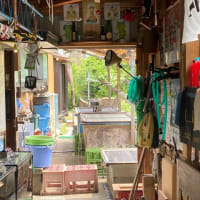 2025.6.8 天然遡上越後清流三面川水系