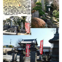 花巡り「梅－357」  久喜　常楽寺
