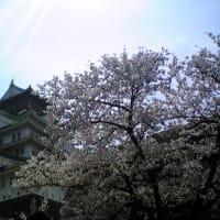 大阪城・春