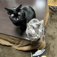 疲れた