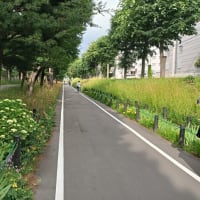 ハーフマラソンLSD的ジョグ　令和7年6月27日（金）