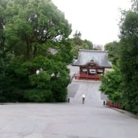 2025　梅雨入り前　鎌倉