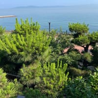 海のある町