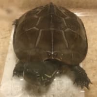 みんなの名前紹介！！