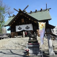 諏訪神社の花手水は春色満載、