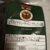 自家焙煎豆購入17回目:エチオピア_アリーチャG1ナチュラルを手網焙煎してみた。