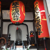 谷根千！富士見坂や猫が面白い！邪悪なハンコ屋も有るでよぉ～！