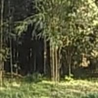 葵の国 紀行　15　竹採物語発祥の地　竹採公園
