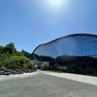 太宰府天満宮の菖蒲