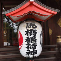 双龍鳥居が美しい、清らかでこころ温まる馬橋鳥居神社！阿佐ヶ谷駅から7分程度！