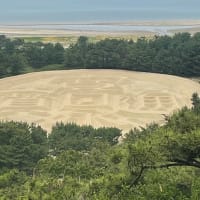 恒例の高齢者による我が家の行事