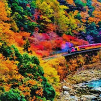 秋の深まりを　保津川下りで感じてみませんか？